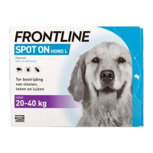 871394238-2975